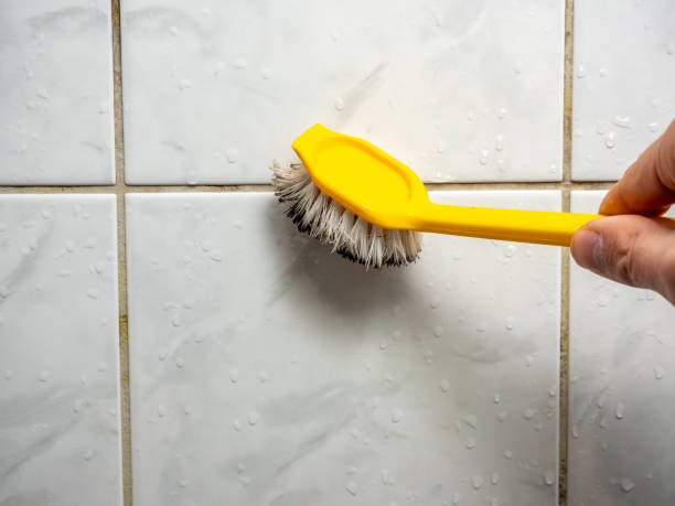 Best Residential Mold Removal  in University Of Lifornia Davis, CA
