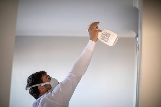 Best Mold Remediation  in University Of Lifornia Davis, CA
