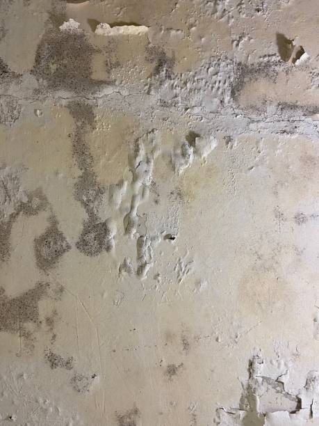 Best Crawl Space Mold Removal  in University Of Lifornia Davis, CA